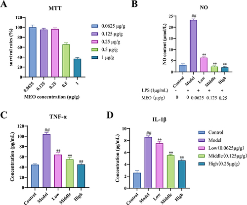 Figure 2 The effect of MEO on cell viability in RAW264.7 macrophages. (A) Cell viability was measured by MTT cell viability assay. (B) Effect of MEO on NO production in LPS-induced RAW264.7 macrophages. (C) Effect of MEO on TNF-α production in RAW264.7. (D) Effect of MEO on IL-1β production in RAW264.7.