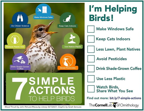 Figure 1. Seven simple actions to conserve birds (https://www.birds.cornell.edu/home/seven-simple-actions-to-help-birds/.