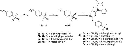 Scheme 2. Synthesis of 2-((4-sulfamoylphenyl)amino) substituted derivatives. Reagents and conditions: (a) K2CO3, DCM,RT; (b) Pd/C, Methanol; (c) 2-chloro-7-cyclopentyl-N,N-dimethyl-7H-pyrrolo[2,3-d]pyrimidine-6-carboxamide, Xantphos, Pd2 (db)3, Cs2CO3, DMF, 110 °C, microwave irradiation; (d) 2 M hydrochloride in Methanol.