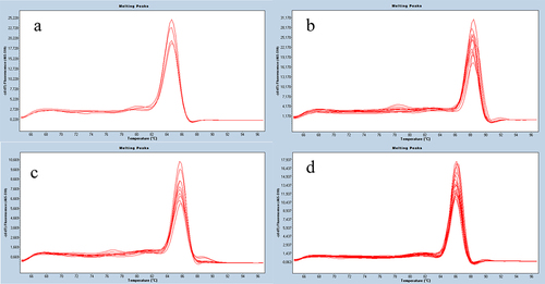 Figure 2. Examples of melting point curves of RT-qPCR products for TGF-β1 (A), TGF-β2 (B), TGF-β3 (C), and GAPDH (D).