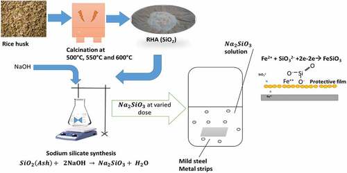 Figure 1. Experimental flowchart indicating calcination of silica at different temperature, NaSiO3 synthesis and corrosion inhibition.