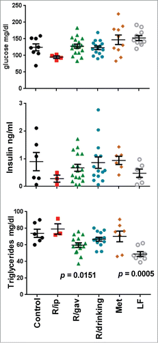 Figure 2. Metabolic profiles of 16 month-old mice on high fat diet 8 months from the beginning of the of treatment with different schedules of rapamycin or metformin. p values: the differences with control group (HFD). Glucose, insulin and triglycerides were determined in fasted serum. Data presented as mean ± SE. Fasted blood was collected in the morning after overnight fasting.