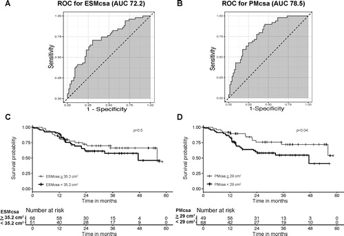 Figure 3. Survival analysis of patients with COPD. (A) and (B) Receiver operating characteristic curves to determine the optimum cutoff value for ESM and PM CSA and the event (death, bronchoscopic or surgical lung volume reduction surgery, or lung transplant). Area under the curve was 72.2 for ESM CSA and 78.5 for PM CSA. (C) Kaplan–Meier survival curves stratified by ESM CSA. The cutoff value corresponds to greater than or equal to the mean ESM CSA and less than the mean ESM CSA (≥ 35.2 cm2 and <35.2 cm2, respectively). The solid line indicates event-free survival probability. The crosses indicate censoring. The steps down indicate events (mortality, lung volume reduction surgery, or lung transplant). There was no significant difference for patients with COPD who had lower ESM CSA values in terms of event-free rates (p = 0.5 by log rank test). (D) Kaplan–Meier survival curves stratified by PM CSA. The cutoff value corresponds to greater than or equal to the mean PM CSA and less than the mean PM CSA (≥ 29 cm2 and <29 cm2, respectively). The solid line indicates event-free survival probability. The crosses indicate censoring. The steps down indicate events. The patients with COPD and lower PM CSA values exhibited significantly worse event-free rates (p = 0.04 by log rank test).