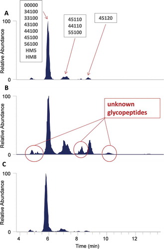 Figure 5. Site-specific HexNAc oxonium ion chromatograms of glycopeptide site 1 for (A.) Fc-Fusion1 reference, (B.) Clone_2, and (C.) Clone_4.Unknown glycopeptide species were detected in Clone_2 that were not detected by conventional analysis. Conversely, the Fc-Fusion1 reference and Clone_4 have similar oxonium profiles. Glycan nomenclature was as follows: HexNAc(#)Hex(#)Fuc(#)NeuAc(#)NeuGc(#).