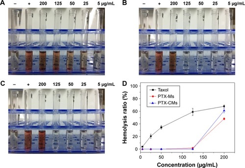 Figure 6 In vitro hemolysis of PTX-CMs.Notes: Taxol (A); PTX-Ms (B); PTX-CMs (C). (D) Hemolysis percentage of Taxol, PTX-Ms, and PTX-CMs. Each data point is represented as mean ± SD (n=3). −, negative control; +, positive control.Abbreviations: PTX-Ms, paclitaxel-loaded monomethoxy(polyethylene glycol)-block-poly(d,l-lactide) micelles; CMs, sodium cholate and monomethoxy(polyethylene glycol)-block-poly(d,l-lactide) micelles.