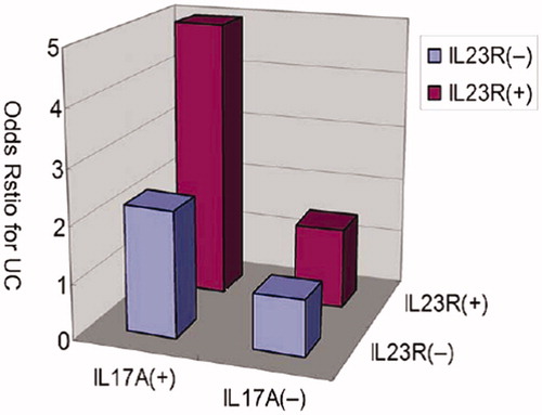 Figure 5. Increase of ulcerative colitis risk with the haplotypes of IL23R and IL-17A. Relative risk haplotypes were plotted and demonstrate association between IL-23R block1 haplotype3 and IL-17A haplotype4 (p = 0.014 for interaction) (adapted from Yu et al. Citation2012).
