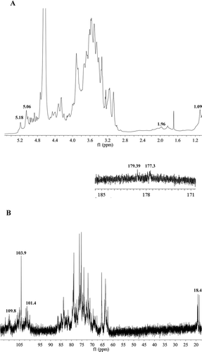 Figure 4. NMR spectra of SHDPs. (A) Citation1H NMR spectrum of SHDPs; (B) Citation13C NMR spectrum of SHDPs.