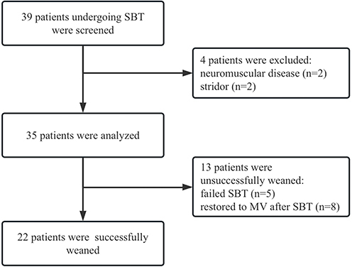 Figure 1 Flowchart of patient enrollment and outcomes. Map was created using WPS Office 3 (Kingsoft Corporation, Beijing, China).