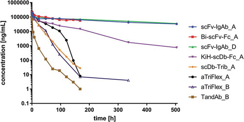 Figure 8. Comparison of the pharmacokinetics of different ROCK® engager formats: concentration of antibodies over time (1 or 3 weeks observation period) after single intravenous administration of 300 µg test item.