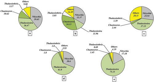 Fig. 10. The relative abundance of different diatom species in nitrate enrichment experiment. (a) The community composition of the initial phytoplankton stock; the community compositions at (b) 14 µM, (c) 24 µM, (d) 34 µM and (e) 64 µM nitrate