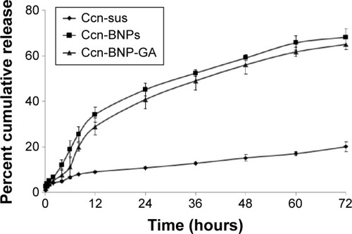 Figure 5 In vitro release profiles of Ccn-sus, Ccn-BNPs, and Ccn-BNP-GA.Abbreviations: Ccn-sus, curcumin suspension; Ccn-BNPs, curcumin-loaded albumin nanoparticles; Ccn-BNP-GA, curcumin-loaded albumin nanoparticles surface-functionalized with GA; GA, glycyrrhetinic acid.