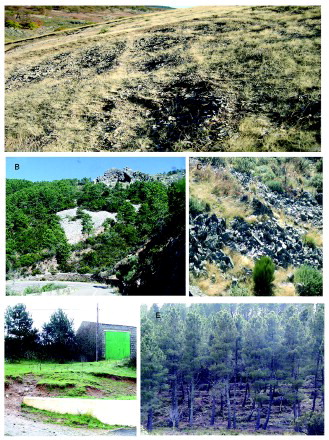 Figure 5. A. Soil processes striated by reptation for frost wedging. La Bastida. B. Retaining walls that impede progress with stone flows on the valley road from Las Batuecas. C. Avalanches of rock fragments by solifluction processes. Pico Cervero. D. Shallow landslides in clay materials as a result of high rainfall. La Atalaya. E. Reforestation and stepped terraces as a corrective measure to prevent soil creep processes in areas of average slopes. Serradilla del Arroyo.