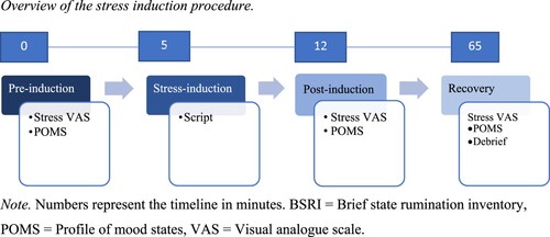 Figure 1. Overview of the stress induction procedure.