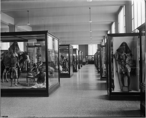 Figure 9. Exhibit cases showing both family groups and the individual mannequins in the Anthropology Hall of the United States National Museum, 1911. Smithsonian Institution Archives, Record Unit 95, Box 44, Folder: 2, SIA-NHB-28600.