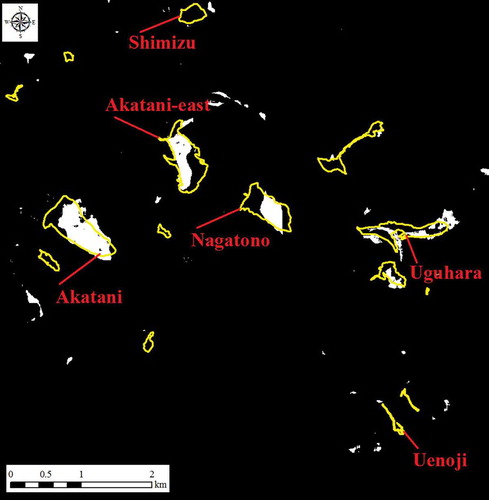 Figure 20. Landslide areas detected by COSMO-SkyMed using intensity correlation with a 5 × 5 Frost filter (yellow polygons: landslide areas detected by EROS-B image; white: landslide areas detected by COSMO-SkyMed images).