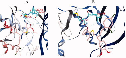 Figure 11. 3D diagram of compounds 10b (A) and 10d (B) showing their binding interaction with the EGFR active site (PDB: 1M17).