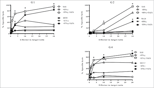 Figure 5. HLA-G26–40-specific CD4+ T cell clones were evaluated for their cytotoxicity against HLA-G-expressing tumor cells. The cytotoxic activity of the T cell clones (G1, G2 and G4) against HLA-DR-matched HLA-G-positive tumor cells was assessed. The HLA-G26–40-specific CD4+ T cell clones effectively lysed the tumor cells treated with IFNγ and 5-AZA. Supernatants were collected after 6 h of incubation and analyzed using a colorimetric CytoTox 96 assay. (*p < 0.05, one-way ANOVA with the Holm post-hoc test compared at the same E:T ratio among the same target).