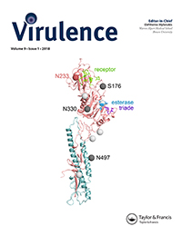 Cover image for Virulence, Volume 9, Issue 1, 2018