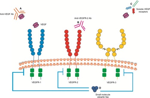 Figure 1 Strategies to inhibit VEGF pathway signaling.