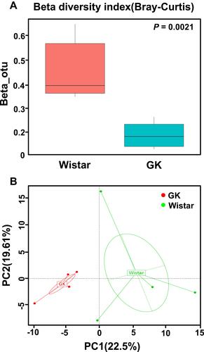 Figure 4 Beta diversity index and principal coordinates analysis (PCoA) of the gastric microbiota between the GK rats and Wistar rats.Notes: (A) Beta diversity index (Curtis–Bray) of gastric microbiota (Wilcoxon test); (B) PCoA of gastric microbiota (genus level) in the Wistar and GK rats based on the R-software packages: WGCNA, stats and ggplot2. Each dot represents an individual microbiota sample. The closer the samples are, the more similar the species composition is.
