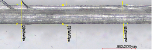 Figure 1. Diameter measurements of sisal fiber using LSM.