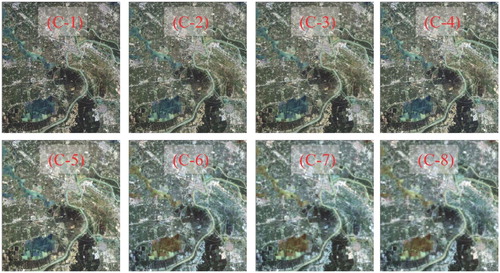 Figure 3. Different spatial resolution series images of study area C (C-1: 8 m, C-2: 24 m, C-3: 40 m, C-4: 56 m, C-5: 120 m, C-6: 152 m, C-7: 200 m, and C-8: 248 m).