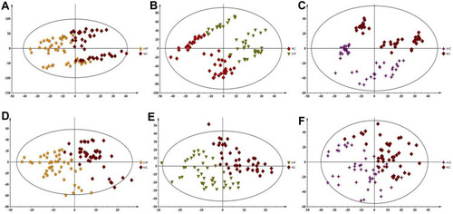 Figure 2 PLS-DA score plots generated from serum samples of participants in different diet groups. (A–C) The positive ESI mode. (D–F) The negative ESI mode.