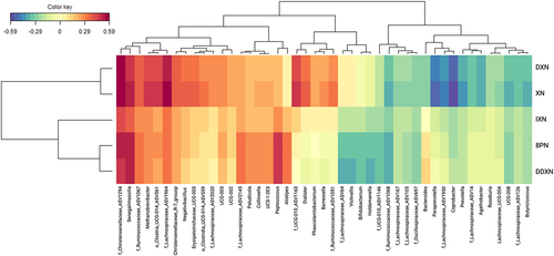 Figure 5. A heatmap representation of a sparse partial least squares (sPLS) regression analysis of the fecal microbial community composition data at the genus level and the concentration of XN and XN metabolites in XN-treated participants after baseline. Associations with correlation coefficients between –0.25 and 0.25 were filtered from the heatmap, which removed all associations with 6 PN.