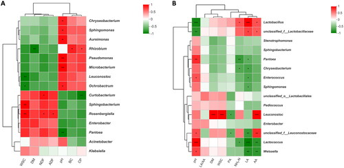 Figure 5. Spearman’s correlation heatmap of (A) chemical composition and epiphytic microbiota (top 10 genera) in fresh sweet sorghum (B) fermentation parameters and bacterial community (top 10 genera) in ensiled sweet sorghum. Red squares represent positive correlation (0 < r < 1), whereas green squares represent negative correlation (−1 < r < 0). *, significant at p < 0.05; **, significant at 0.001 < p ≤ 0.01. BC, buffering capacity; CP, crude protein; DM, dry matter; ADF, acid detergent fibre; WSC, water soluble carbohydrates; NDF, neutral detergent fibre; PA, propionic acid; NH3-N, ammonia nitrogen; AA, acetic acid; LA, lactic acid; LA/AA, ratio of lactic to acetic acid.