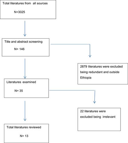 Figure 1 Data search process.