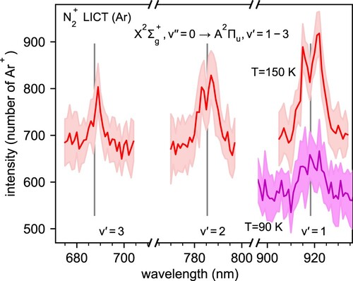 Figure 8. Electronic spectrum of N2+ cation Meinel system [Citation71] (gray line – band origins) recorded using VIS-LICT (laser induced charge transfer) scheme [Citation68]. In red, measurements performed at 150 K. In magenta, at 90 K.