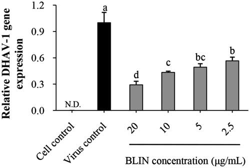 Figure 1. Anti-DHAV-1 reproduction effect of BLIN. When DEHs were infected with DHAV-1, BLIN at different working concentrations (20, 10, 5 and 2.5 μg/mL) was added to DEHs, five repetitions per treatment. After 24 h, the qRT-PCR method was used to measure the DHAV-1 reproduction level. Statistical analyses were performed using Duncan’s multiple range tests. a–dBars in the figure without the same superscripts differ significantly (p < 0.05). ND: not detected.