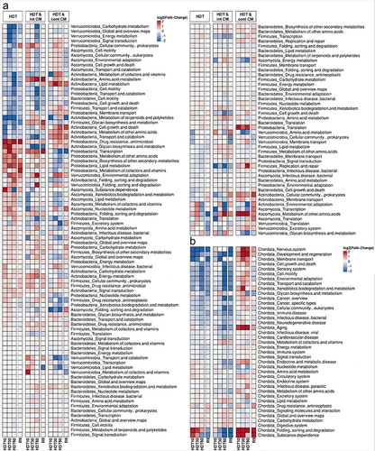 Figure 2. Heatmap with metaproteomic output assigned to KEGG pathway maps of (a) microbial and (b) Chordata phyla.