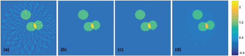Figure 6. Results for noisy test data with 2% Gaussian noise added (all images are displayed using the same colourmap). (a) Reconstruction using the FBP algorithm; (b) reconstruction using the CNN trained without noise; (c) reconstruction using the CNN trained on noisy images; (d) TV reconstruction.