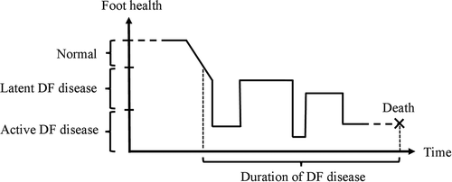 Figure 1. Visualization of the process perspective on the diabetic foot (DF). The patient’s foot health starts at a normal level but at some point in life starts to deteriorate and foot health is categorized as latent DF disease. For the rest of the patient’s life, he or she remains in this category with possible outbreaks of active DF disease.