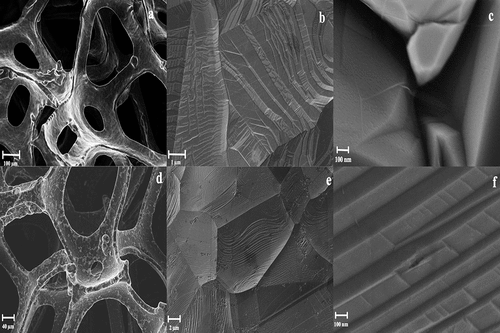 Figure 1. SEM images of graphene coatings on the Ni (a–c) and Cu (d–f) foams.