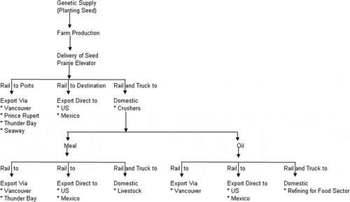 Fig. 3. The canola value chain in Canada.