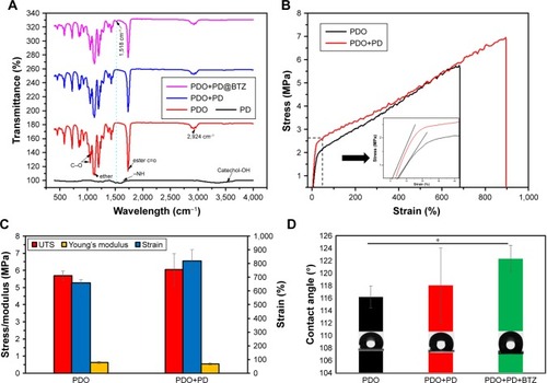 Figure 7 Mechanical property and chemical component of composite fiber (A) ATR-IR. (B) Stress–strain curve. (C) Mechanical property. (D) Contact angle.Note: *P<0.05.Abbreviations: ATR, attenuated total reflection; BTZ, bortezomib; IR, infrared; PDO, polydioxanone; PD, polydopamine; UTS, ultimate tensile strength.