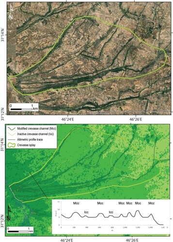 Figure 4. Satellite view (A) and AW3D30 DSM (B) where the altimetric profile has been constructed along an inactive crevasse splays on the right bank of the Shatt al-Gharraf. The modified crevasse channels (MCC) are higher than the inactive crevasse channels (ICC).