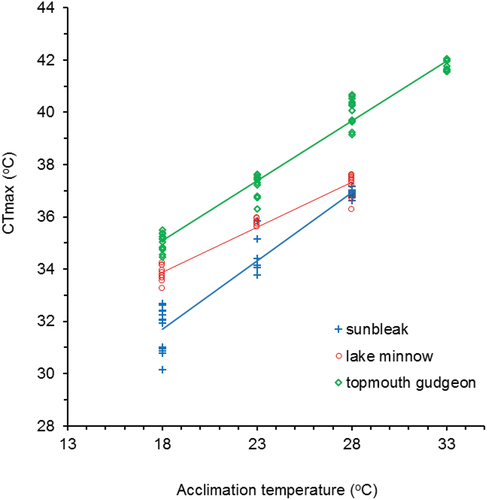 Figure 1. The relationship between the upper thermal limit (CTmax) and fish acclimation temperature.