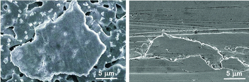 Fig. 1 Examples of typical surfaces of tested transmission components (color figure available online).