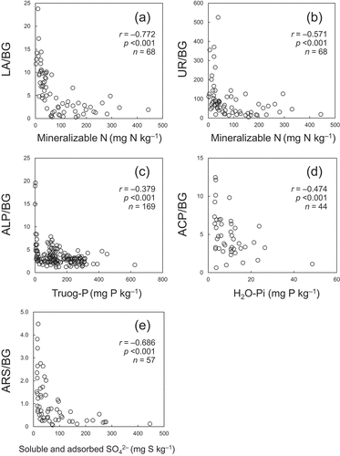 Figure 6. Relationships between (a) the ratio of L-asparaginase (LA) to β-D-glucosidase (BG) activities and potentially mineralizable N concentration in arable and forest soils (Fujita et al. Citation2018); (b) the ratio of urease (UR) to BG activities and potentially mineralizable N concentration in arable and forest soils (Fujita et al. Citation2018); (c) the ratio of alkaline phosphomonoesterase (ALP) to BG activities and Truog-P concentration in arable soils (Fujita et al. Citation2017; Mise et al. Citation2018; Moro, Kunito, and Sato Citation2015; Otsuka and Kunito Citation2021); (d) the ratio of acid phosphomonoesterase (ACP) to BG activities and H2O-extractable inorganic P (H2O-Pi) concentration in acid forest soils (Fujita et al. Citation2017; Kunito et al. Citation2012b, Citation2016); and (e) the ratio of arylsulfatase (ARS) to BG activities and soluble and adsorbed sulfate concentration in arable and forest soils (Kunito et al. Citation2022). The r and p indicate Spearman’s rank correlation coefficient and its p-value.