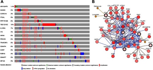 Figure 9 (A) The alteration frequency of 16 hub genes in the TCGA HNSCC dataset is illustrated. (B) Gene network and tumor drugs associated with the hub genes in the TCGA HNSCC dataset.Abbreviation: TCGA, The Cancer Genome Atlas.