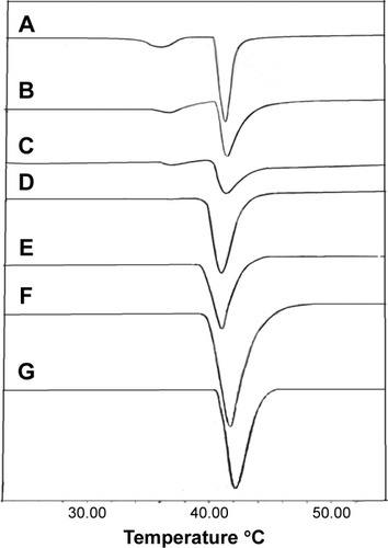 Figure 2 DSC curves.Notes: DSC curves for (A) DPPC, (B) DPPC with 3% (w/w) doxorubicin, (C) DPPC with 6% (w/w) doxorubicin, (D) DPPC with 3% (w/w) etoposide, (E) DPPC with 6% (w/w) etoposide, (F) DPPC with 3% (w/w) doxorubicin and 3% (w/w) etoposide, and (G) DPPC with 6% (w/w) doxorubicin and 6% (w/w) etoposide.Abbreviations: DPPC, 1,2 dipalmitoyl-sn-glycero-3-phosphatidylcholine; DSC, differential scanning calorimetry.