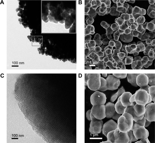 Figure 2 TEM photographs of (A) HP-β-CD/CC and (C) SBA-16; SEM photographs of (B) SBA-16 and (D) IRB-SBA-16.Note: (A inset) primary particles of HP-β-CD/CC.Abbreviations: HP-β-CD/CC, hydroxypropyl-β-cyclodextrin functionalized calcium carbonate; SBA-16, Santa Barbara amorphous materials-16; IRB-SBA-16, irbesartan loaded-SBA-16; TEM, transmission electron microscopy.