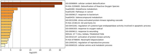 Figure 8 Heatmap of enriched terms across PRDXs and other 22 most frequently altered neighbor gene lists, colored by p-values (Metascape).