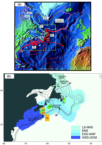 Fig. 1 (a) Schematic of general upper-ocean circulation over the northwest Atlantic Ocean and the model domain marked by dashed lines (modified from the image created by Igor Yashayaev, reproduced by permission). (b) Topographic features over the eastern Canadian continental shelf. Model results over subregions with different colours are discussed in the paper. Model results over areas marked by P1 and P5 and indicated sections are used for the model validation and the process study of interannual variability. Abbreviations are used for the Gulf Stream (GS), North Atlantic Current (NAC), Labrador Current (LC), Mann Eddy (ME), West Greenland Current (WGC), Baffin Island Current (BIC), Outflow from Hudson Strait (OHS), Labrador Shelf (LS), Newfoundland Shelf (NFS), Scotian Shelf (SS), Gulf of Maine (GOM), Gulf of St. Lawrence (GSL), Slope Water (SW), Grand Banks (GB), Flemish Cap (FC), Flemish Pass (FP), Tail of the Grand Banks (SToGB), Cape Hatteras (CH).