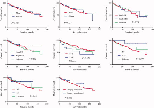 Figure 2. Overall survival (OS) of hidradenocarcinoma patients stratified by sex, race, histologic grade, American Joint Committee on Cancer (AJCC) stage, and primary site surgery.