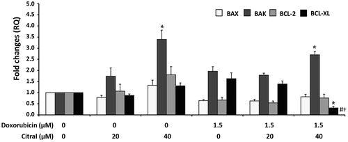 Figure 4. Effect of citral on the expression of BAX, BAK, BCL-XL, and BCL-2 in Ramos cells treated with doxorubicin (1.5 µM) alone or combined with citral at 20 and 40 µM for 18 h. The total RNA from the treated cells was reverse transcribed to cDNA for amplification of the mRNA expression levels of these genes by quantitative RT-PCR. GAPDH was used as the endogenous gene control for normalization. The expression levels of these genes from 0.5% ethanol-treated Ramos cells were regarded to have RQ = 1. The data are expressed as means ± SEM of four independent experiments. *p < 0.05 compared with solvent control, #p < 0.05 compared with doxorubicin alone, †p < 0.05 compared with 40 µM citral alone.