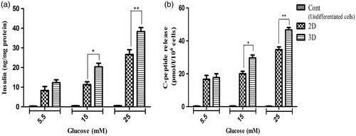 Figure 6. In vitro release of insulin and C-peptide in IPCs derived at day-21 of differentiation. (a and b) insulin secretion and C-peptide release changes in two groups of IPCs and control group in response to various concentrations of glucose from 5.5 to 25 mM. Values are expressed as mean ± SEM. (n = 6). *p < .05 and **p < .01.